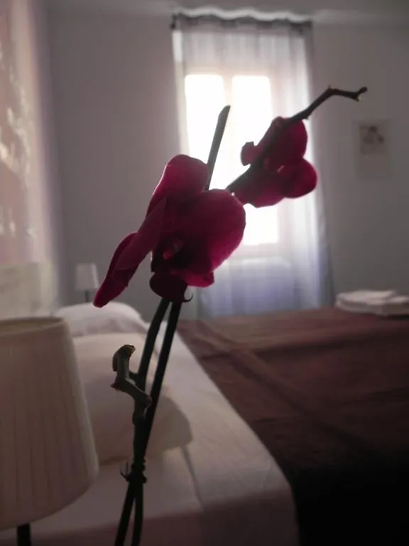 Hotel Vica Pota Rom Gasthof